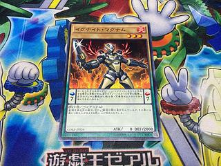 Y-1877 Igknight Squire Normal JP026