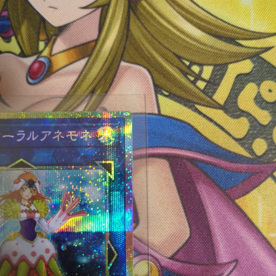 海晶乙女コーラルアネモネ　PSE　UT01-JP042 1枚