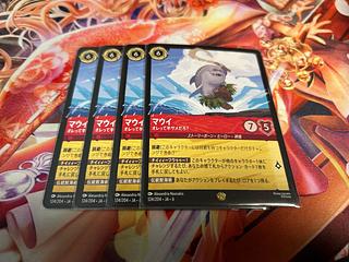 ロルカナ　マウイ 4枚