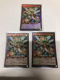 CAN-Sp:D UR RD/MRP1-JP029