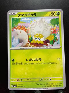 Rakurakudo] Pokeka Tamantura