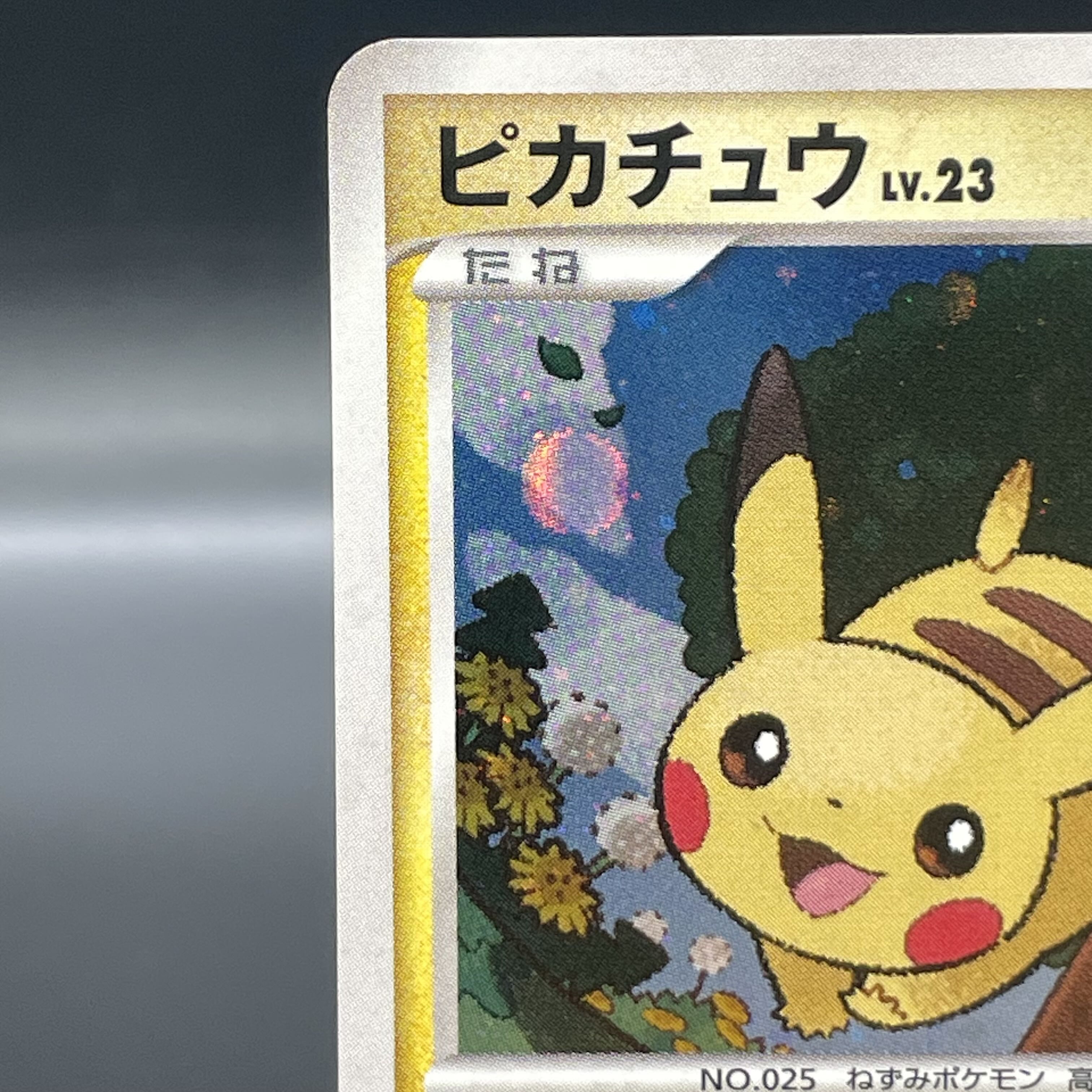 ポケモンカード ピカチュウ だいすきクラブ 016/DPt-P プロモ 美品