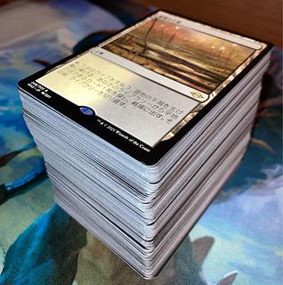 【★まとめ買いで値引き♪】湿地の干潟他レアカードまとめ売り 1枚