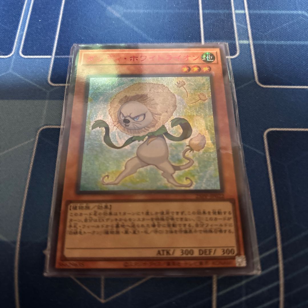 Dandy Ho Wight Lion Red Sikh