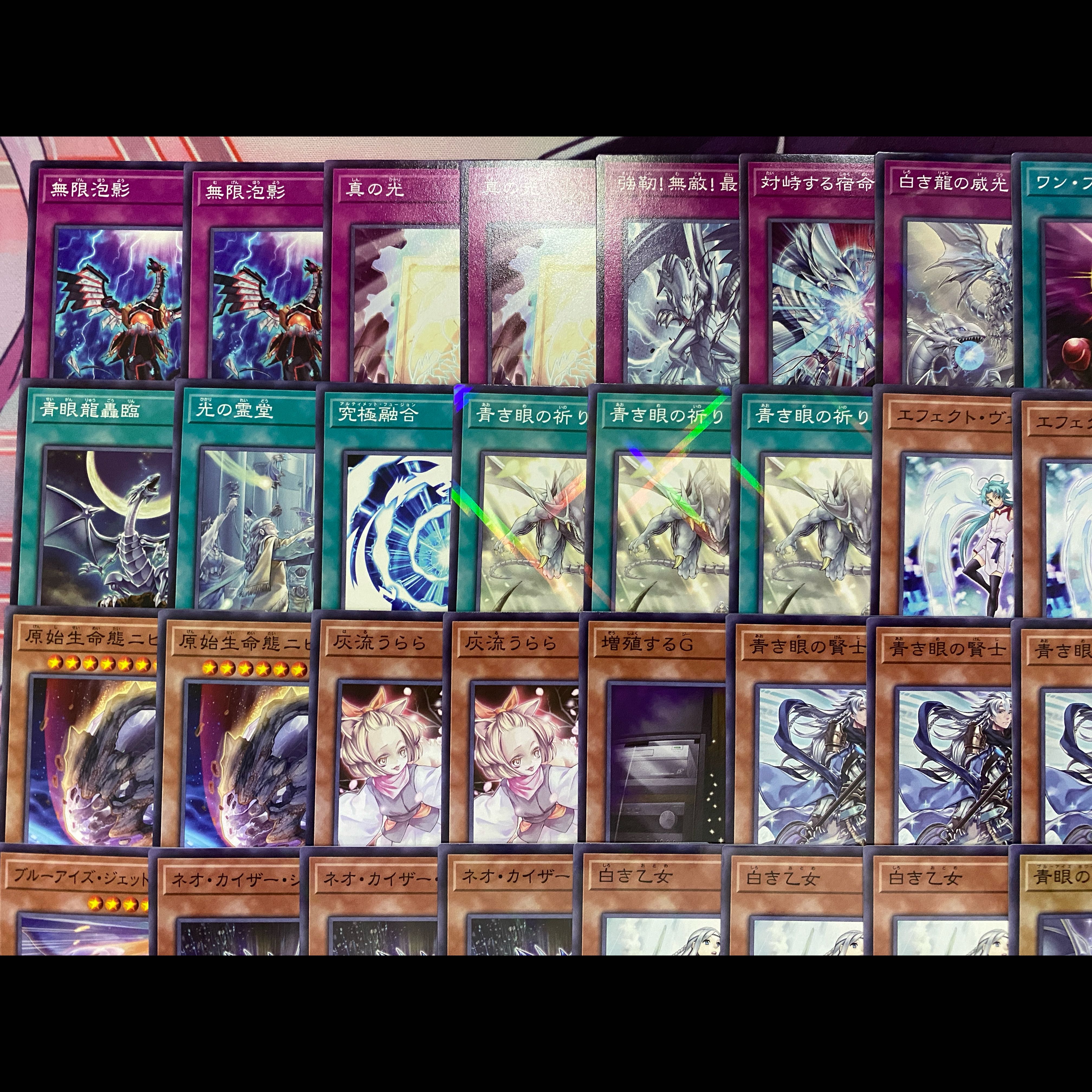 001　遊戯王　青き眼　青眼（ブルーアイズ）大会構築デッキ 1枚