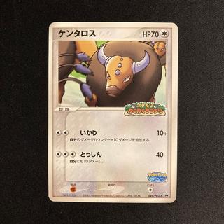j28 Tauros Promo Pokémon Exciting Safari Pokémon TreTre 1枚