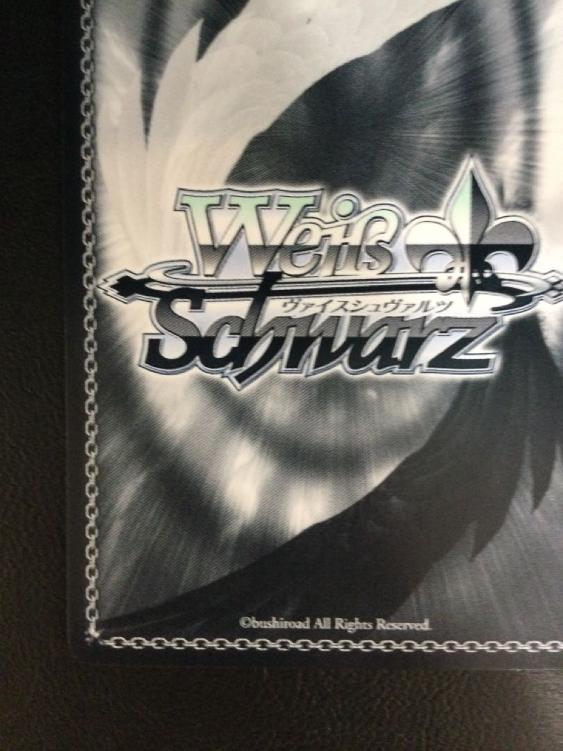 ① 凛々しきドゥルガー ヴリティカ・バラクリシュナン(サイン入り) SP HBR/W117-095SP