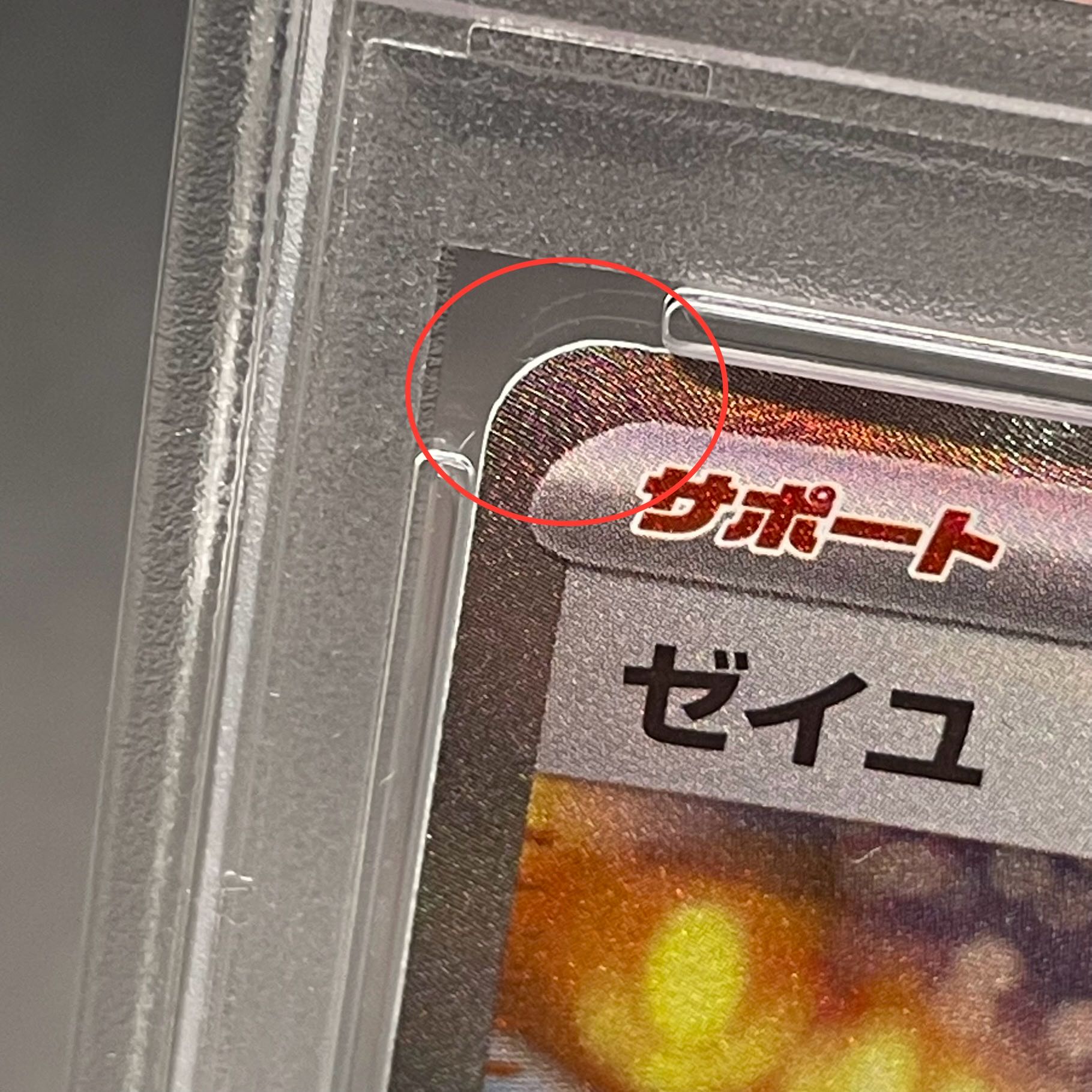 PSA10】ゼイユ SAR 130/101の通販 土日祝休@magi公式(コレクター PSA10】ゼイユ SAR 130/101の通販 土日祝休@magi公式(コレクター