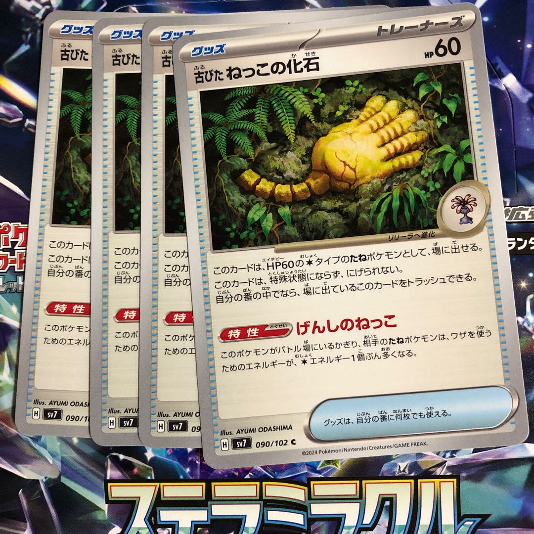 Fossil of old cat fossil C 090/102 1枚