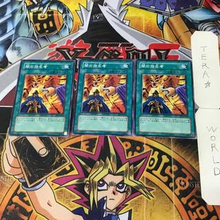 Dark Designator 1 Normal Spell Card 3-Card Set Tera 3枚