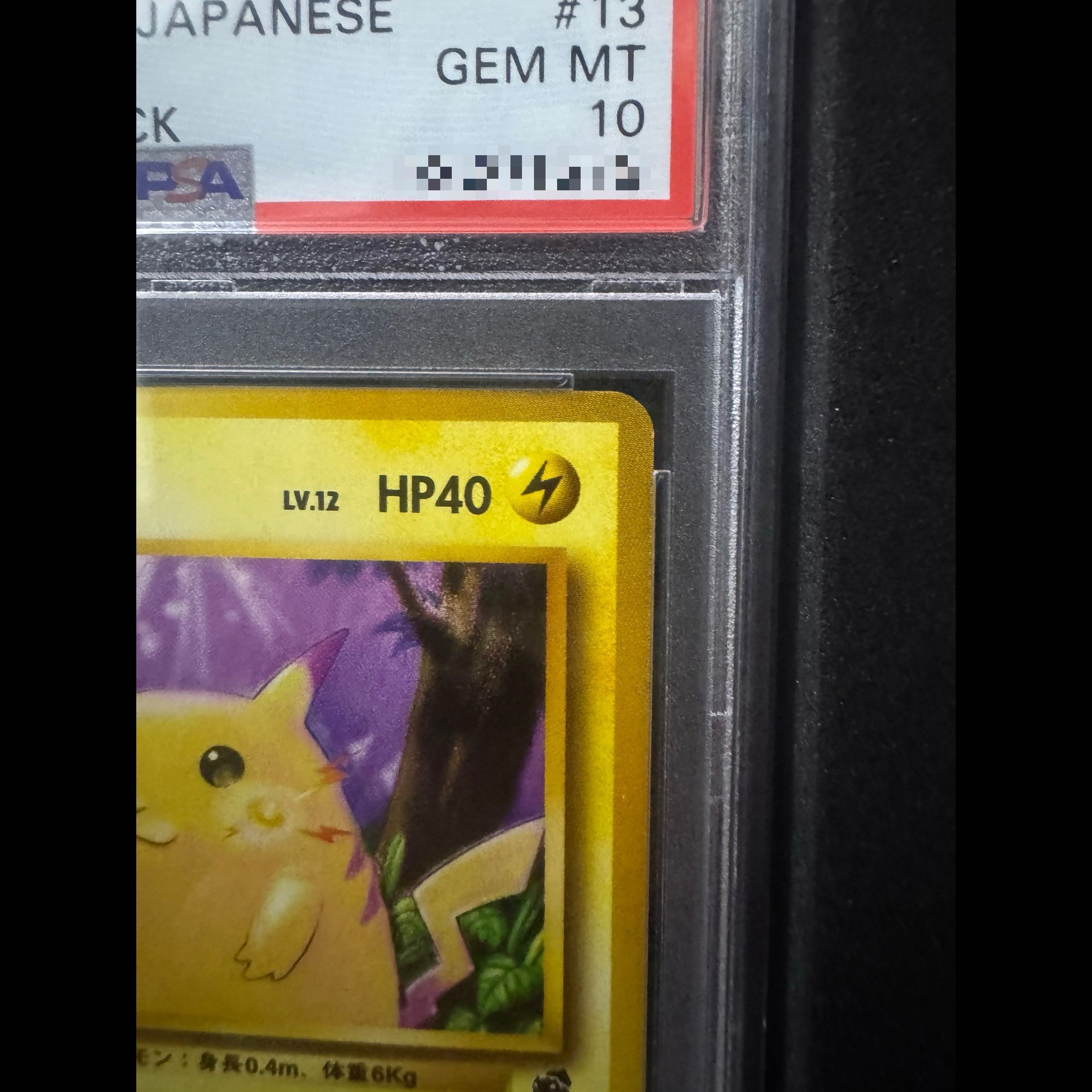 ピカチュウイントロパック旧裏1999 （フシギダネマーク） PSA10 1枚