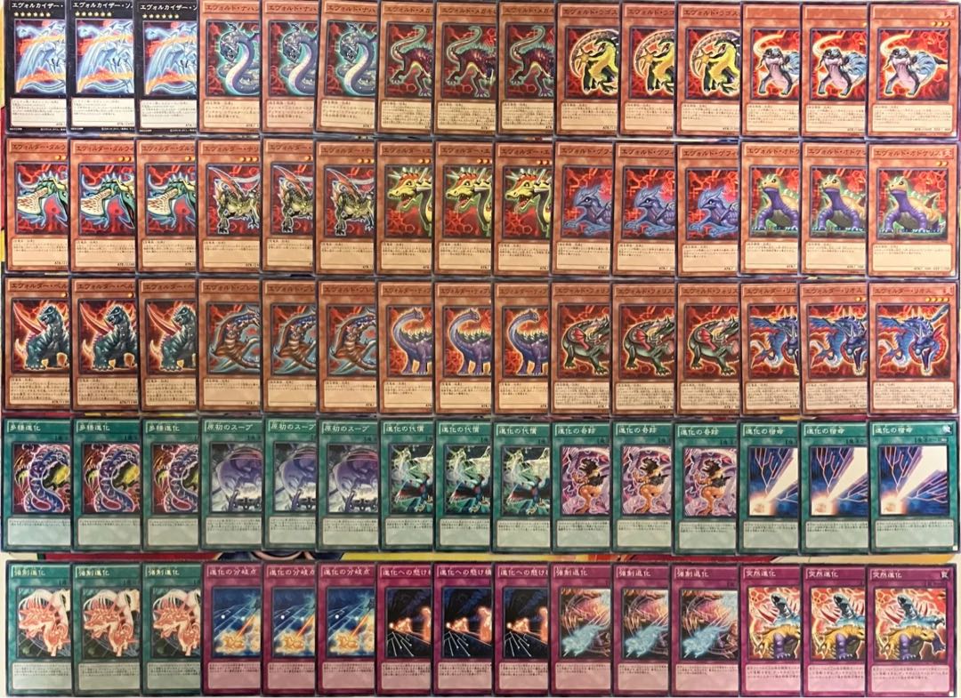 エヴォルデッキパーツ 遊戯王 1枚