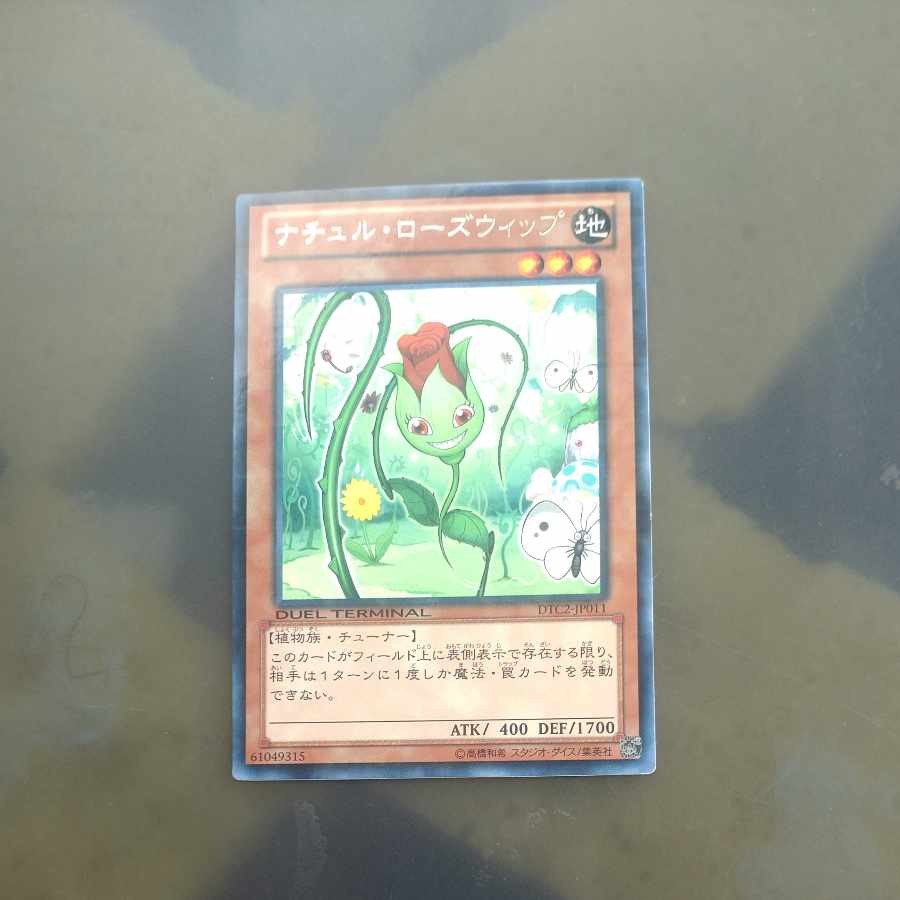 【木林堂】 【木林堂】 ナチュル・ローズウィップ レア JP011