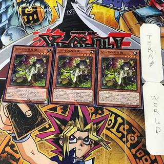 Traptrix Vesiculo SD45 1 Normal Parallel, Effect, Set of 3, Tera.