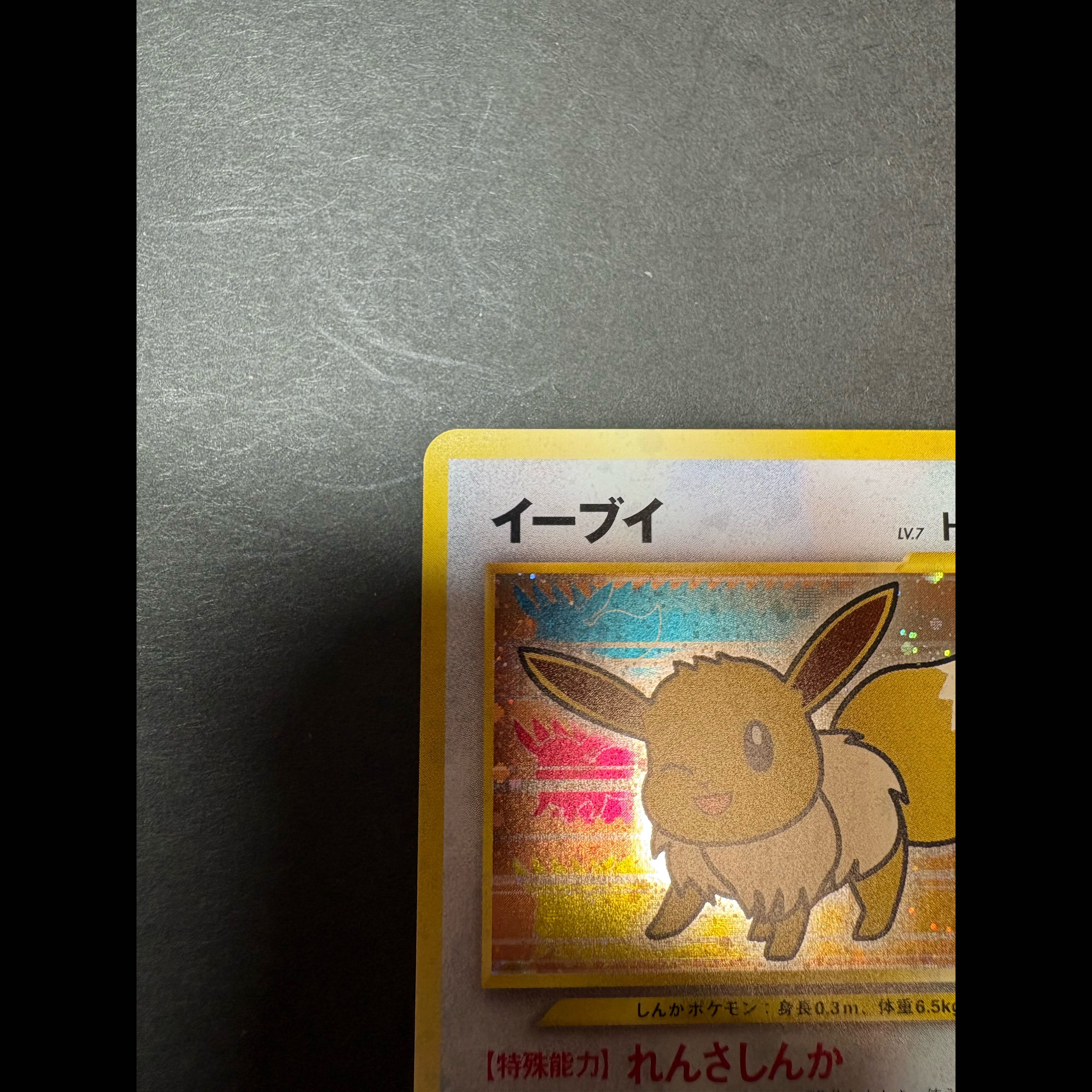 Eevee Pokémon Fan Krabby Special Edition Card (Old Back) PROMO 1枚