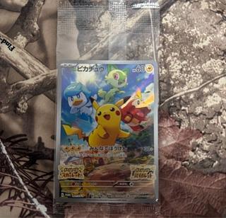 みんなでぼうけん ピカチュウ  ポケモンカード 1枚