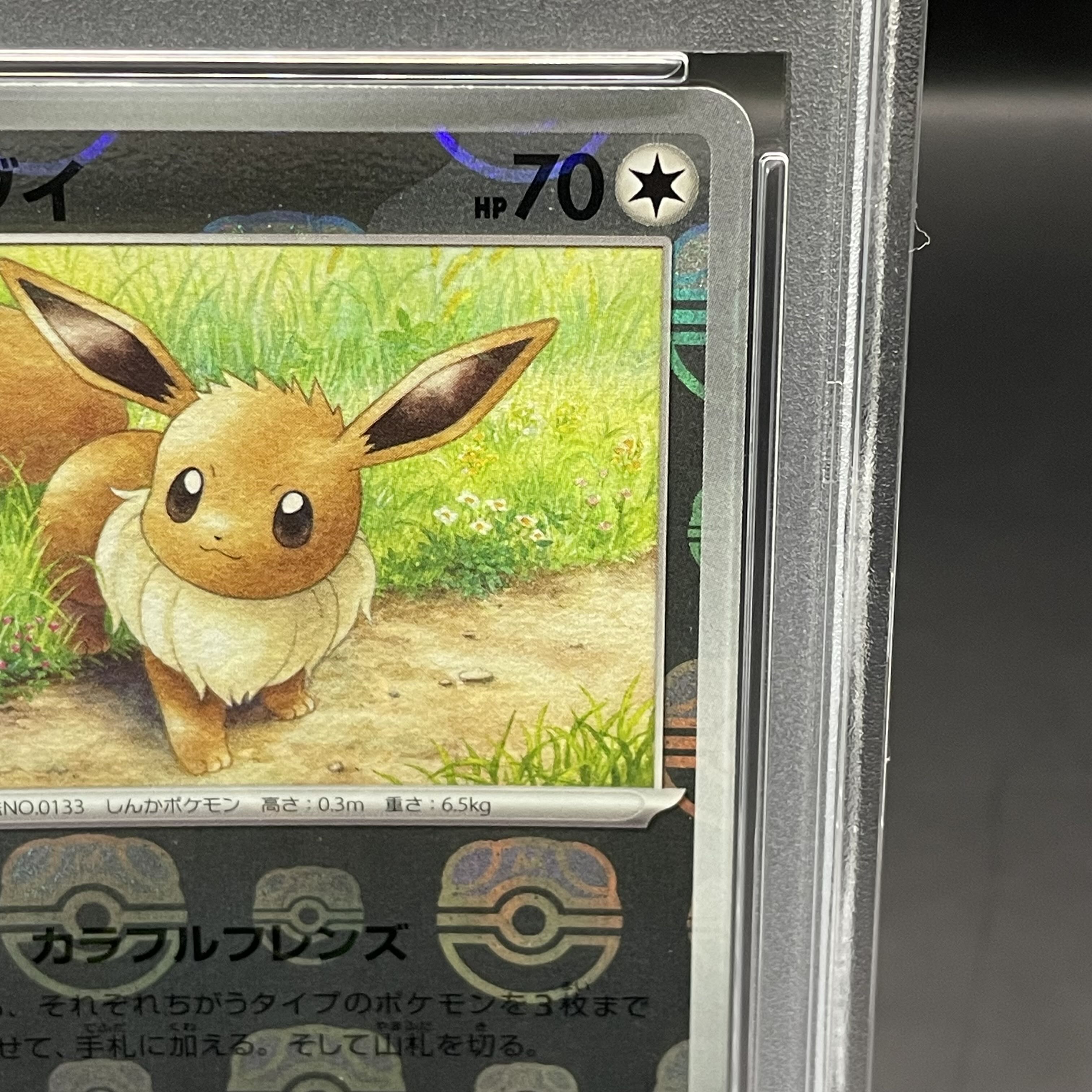 PSA10] Eevee (Master Ball Pattern/Mirror Spec.) C 133/165