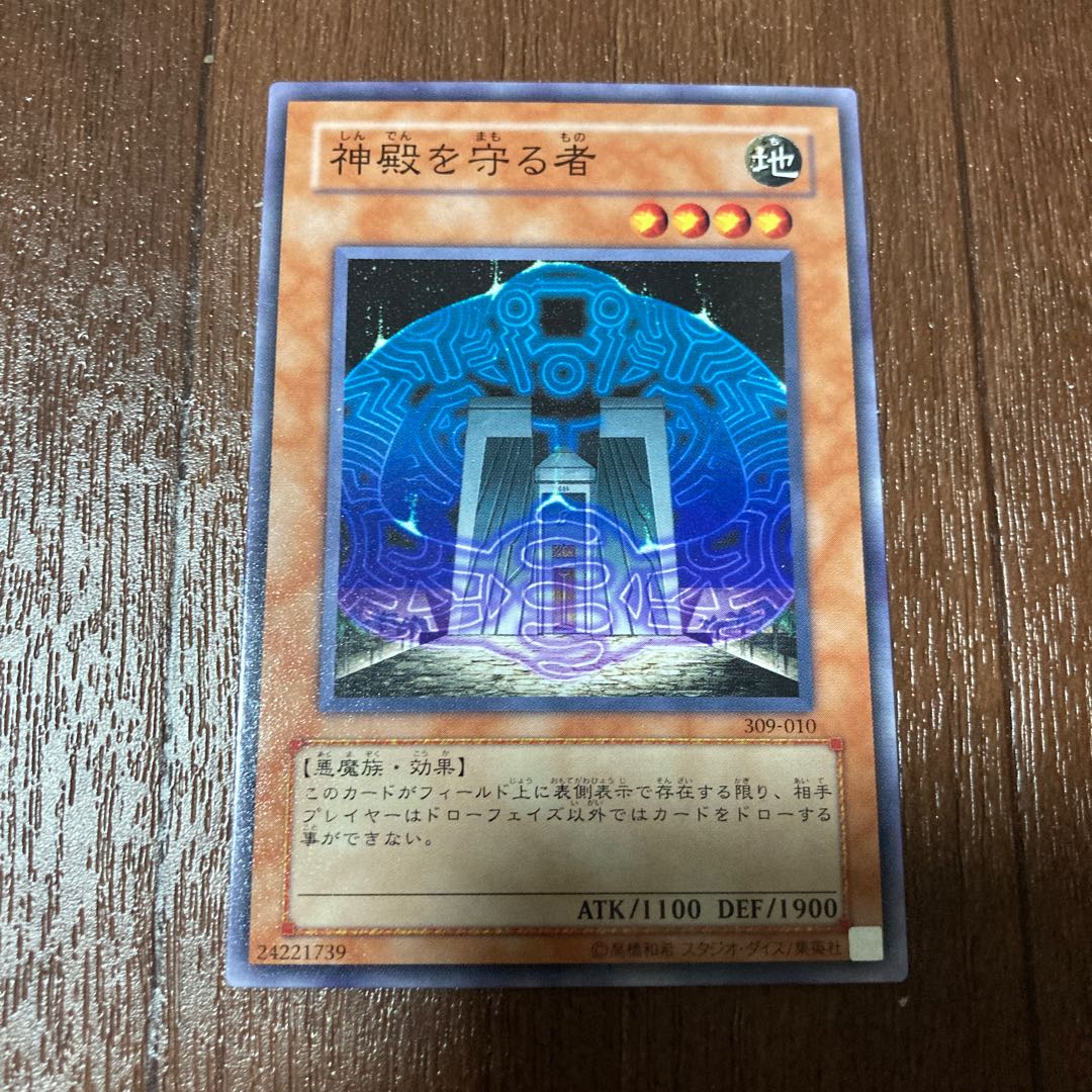 Protector of the Sanctuary