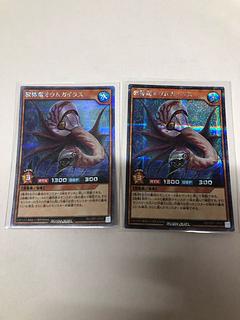 Mollusk Chambered Nautilus Russ SE RD/VSP1-JP037