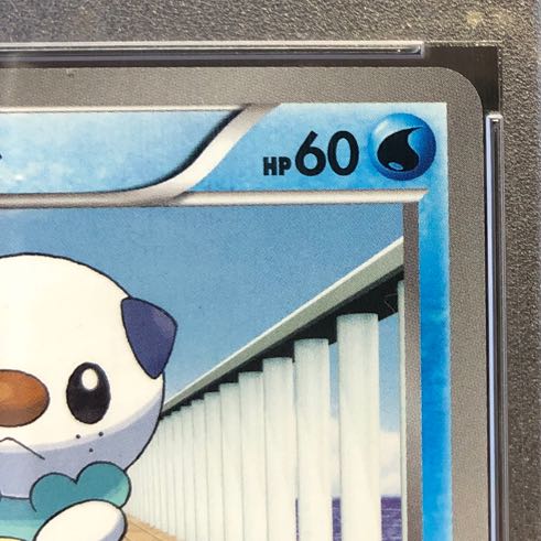 ポケモン - 【PSA10】ミジュマル 「JR北海道ポケモン調査隊2011」ゼクロムルート PROMO 080/BW-P PSA10】ミジュマル 「JR北海道ポケモン調査隊2011」ゼクロム