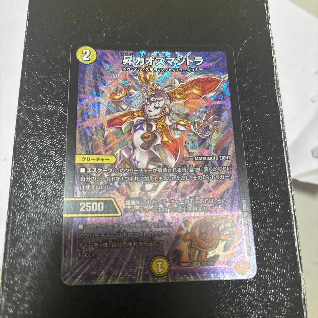 昇カオスマントラ SR S1/S11