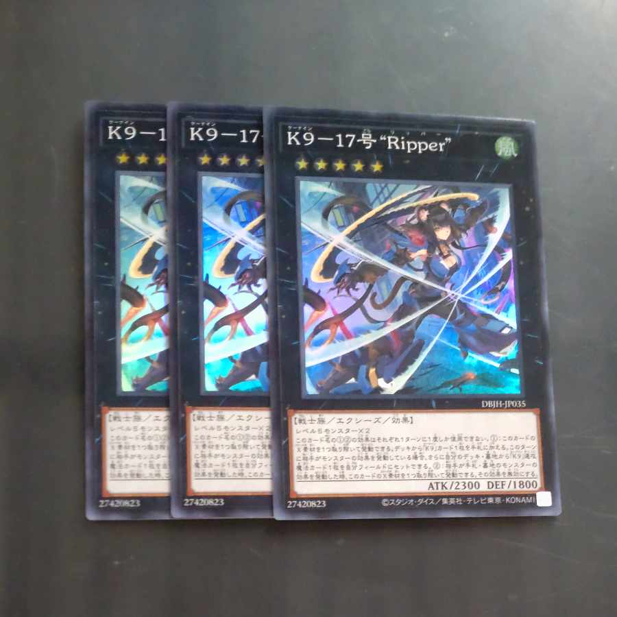 K9-17号Ripper 81gn18MYrwL._AC_SY200_QL15_.jpg