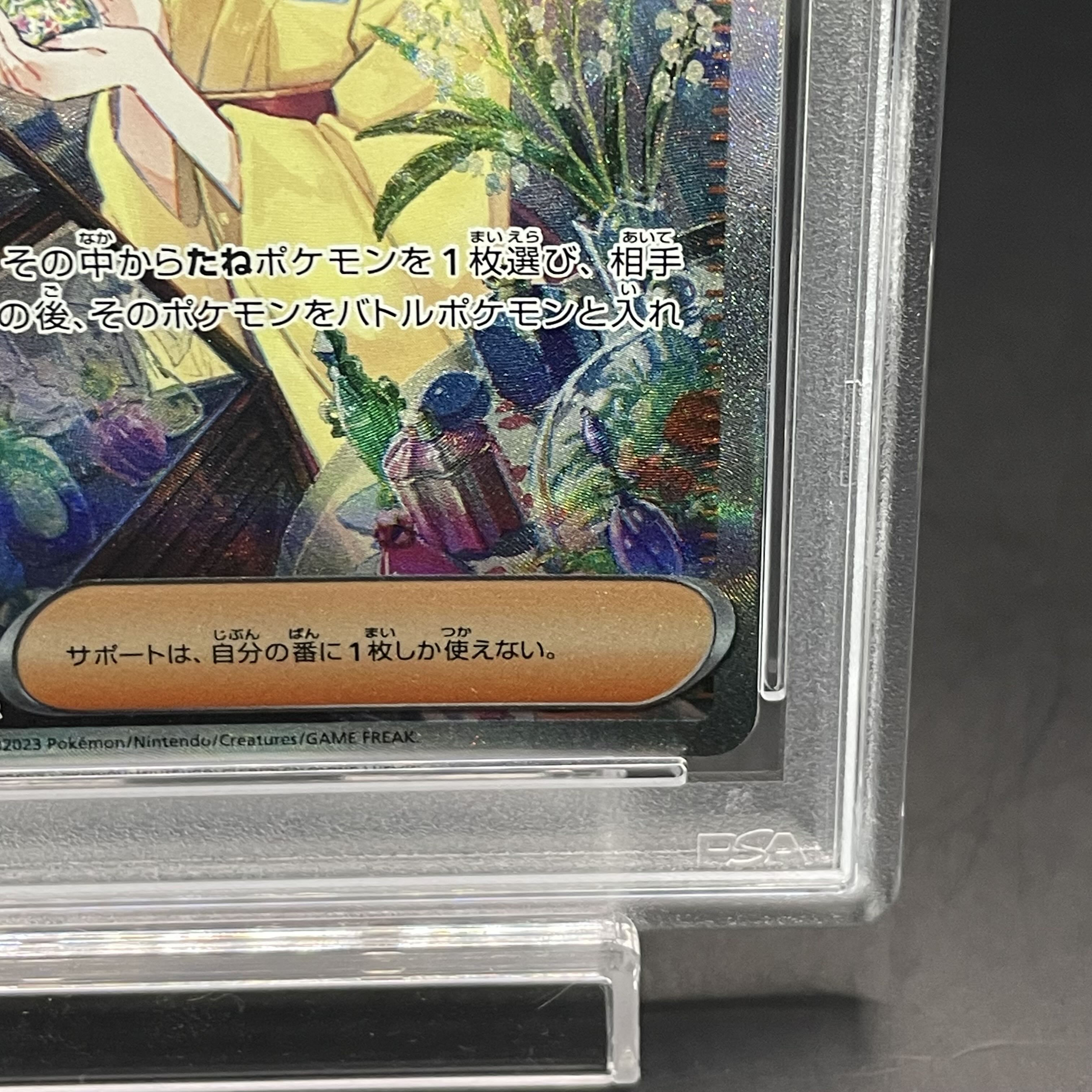 【PSA10】エリカの招待 SAR 206/165