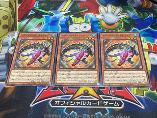 Y-4130 Materialllector Exalepto Normal SUDA-JP011 3枚