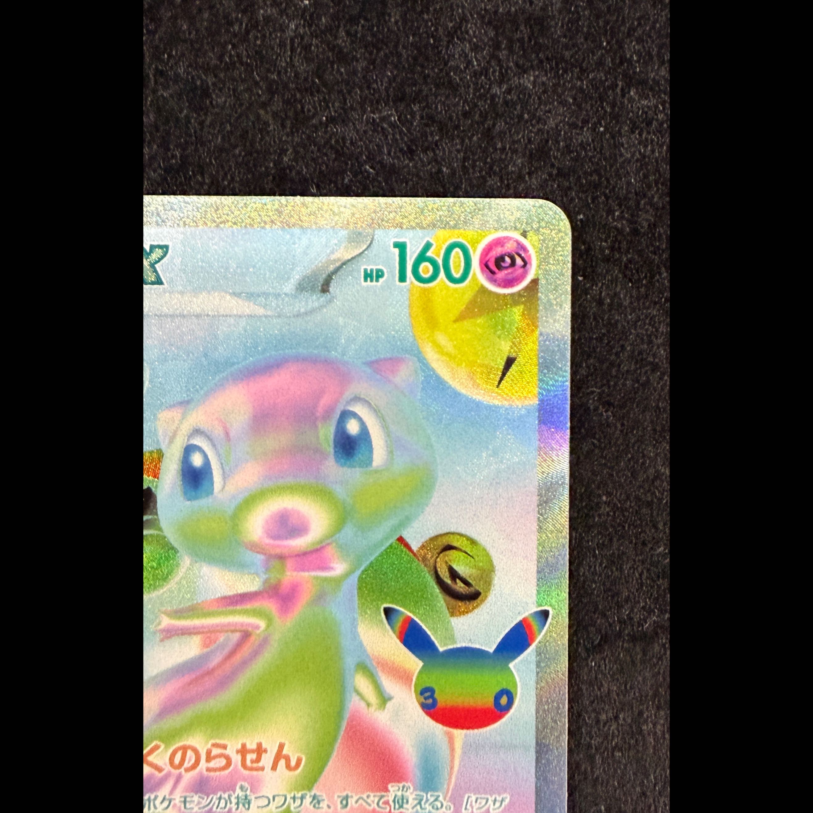 Mewex FUR 135/103 1枚
