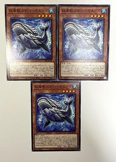 Crested Beast Stat Whale [Normal] JP010