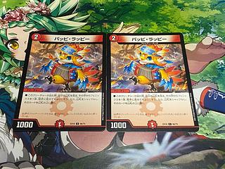 D-395 パッピ・ラッピー C 66/75 2枚