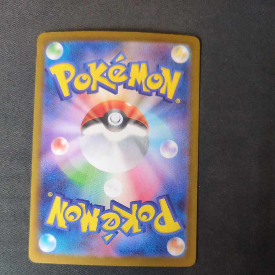 オーガポンかまどのめんex SAR 204/187