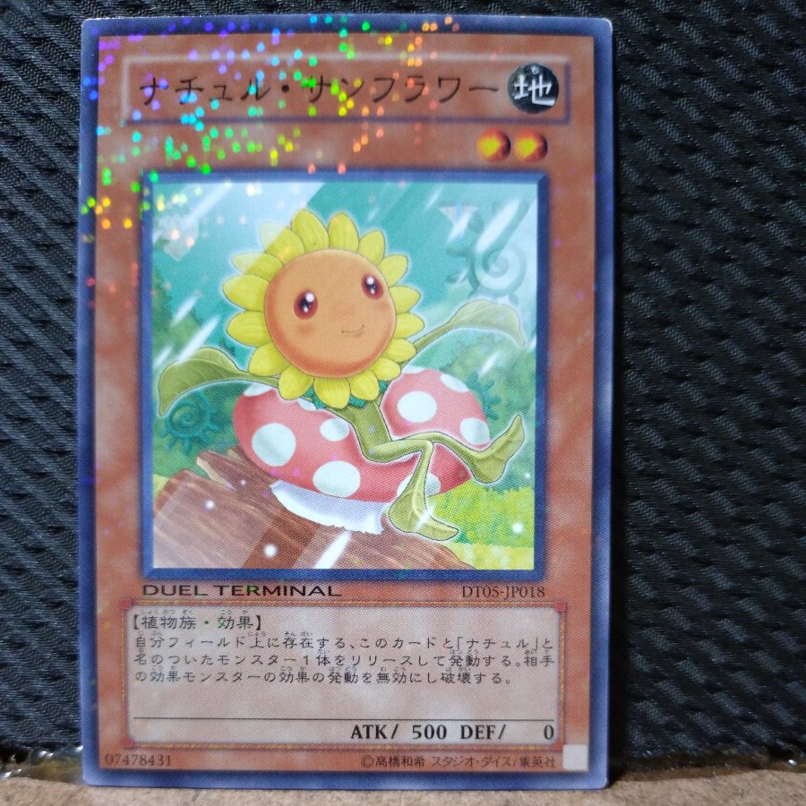 【ぽぽたん】遊戯王  2258  ナチュル・サンフラワー   ノーパラ 1枚
