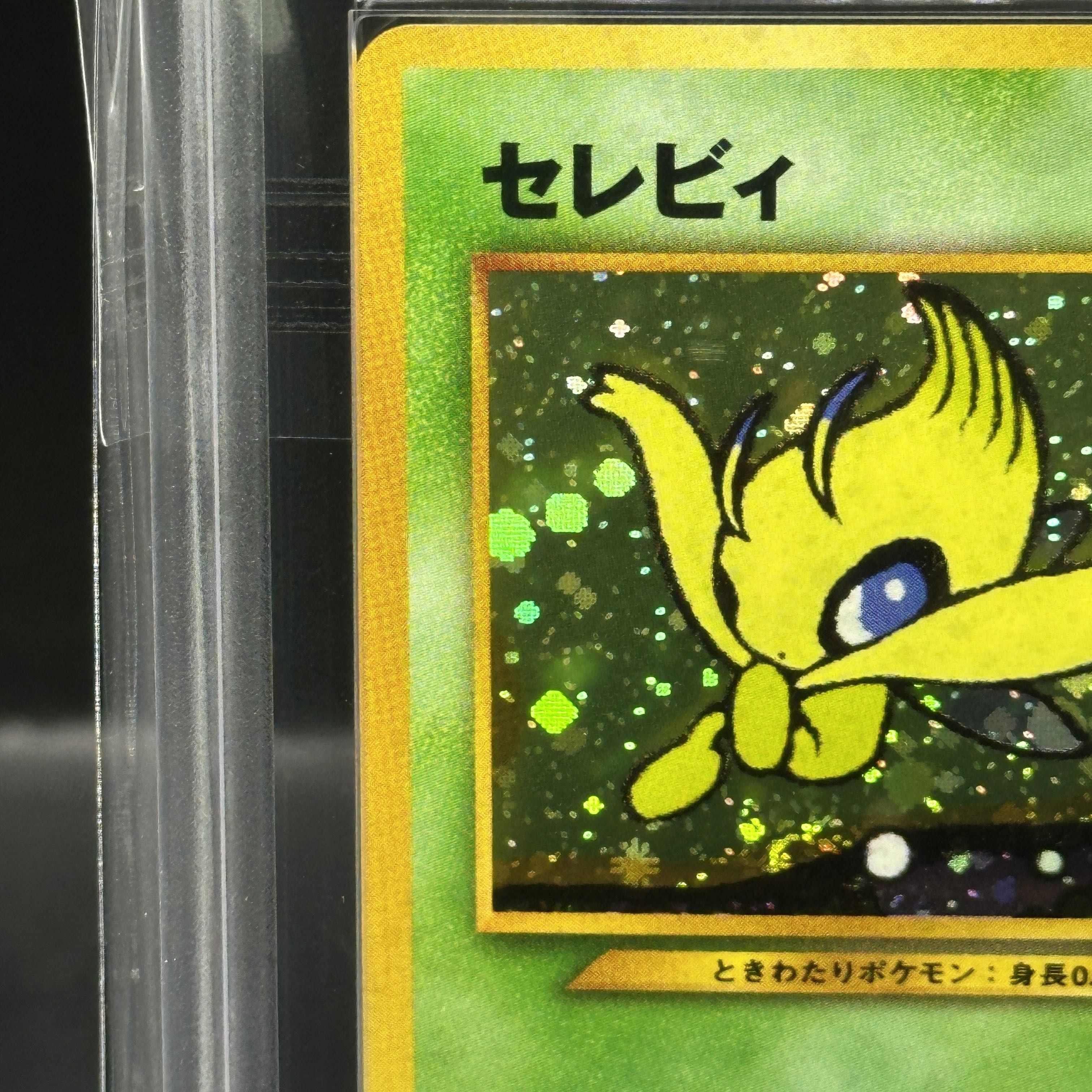 【ARS10】セレビィ プレミアムファイル 旧裏  1枚