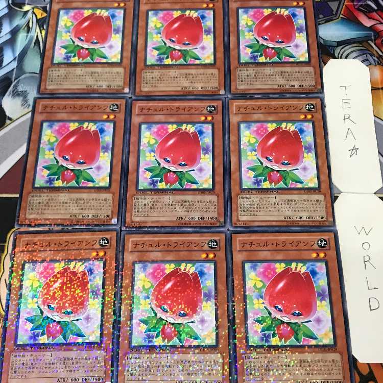 1 Duel Terminal, Effect, Set of 9, Tera. 9枚