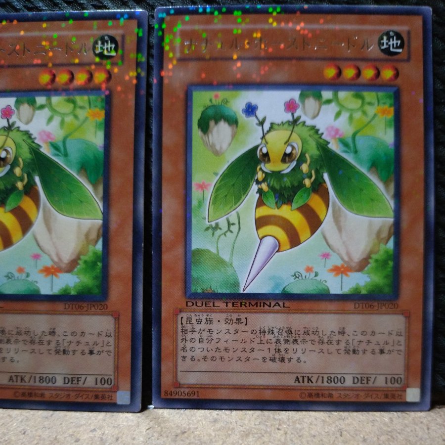 【ぽぽたん】遊戯王  7555  ナチュル・ホーストニードル  字レア   2枚 2枚