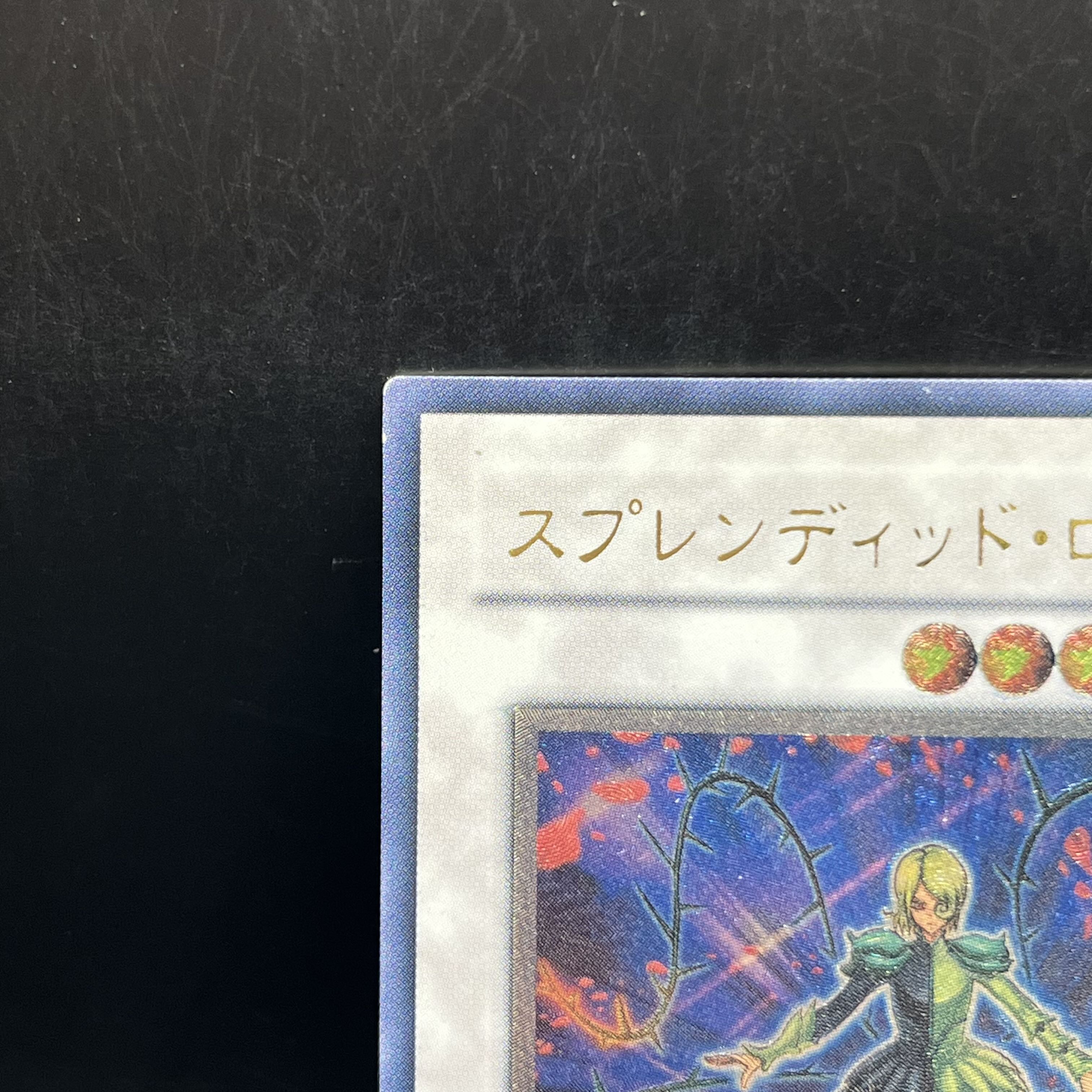 Splendid Rose Ultimate Rare JP043