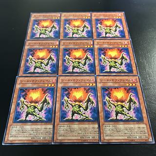 1176【遊戯王】シード・オブ・フレイム　9枚セット 9枚