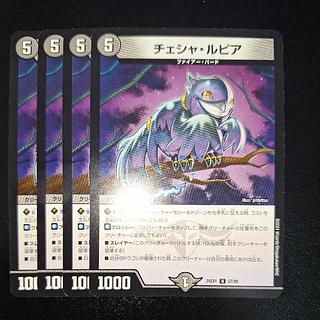 Cheshire Lupia U 57/89