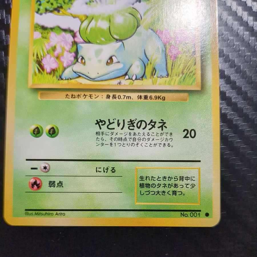 Beautiful. Beautiful Bulbasaur marked old back ★ 1枚