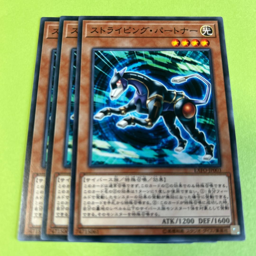 3枚セット ストライピング・パートナー ノーマル JP003