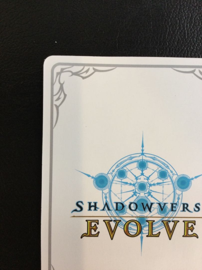 ① (傷有り) 境界を超えし者・ドロシー BP03-LD02 1枚