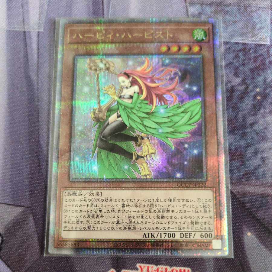 Melffy Catty QCSE, 25th Sikh QCCU-JP172