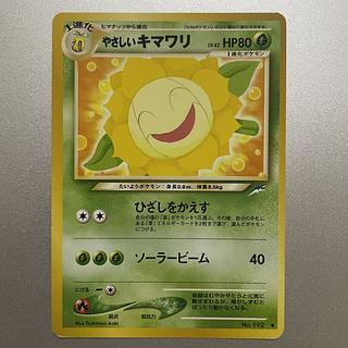 やさしいキマワリ　旧裏 1枚