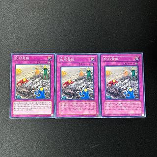 4324 Fossil Excavation☆4896