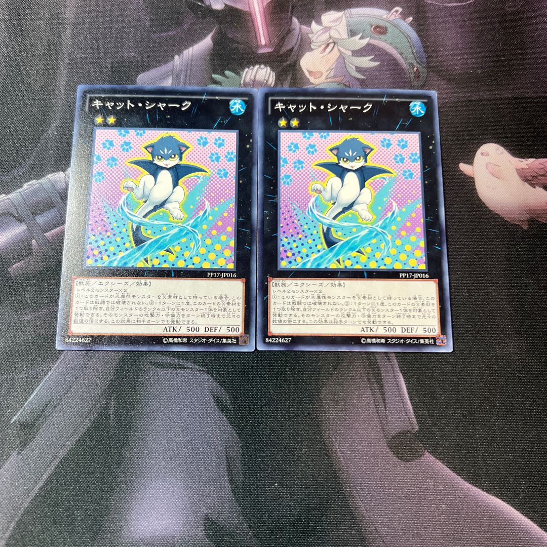 Cat Shark Normal A-318