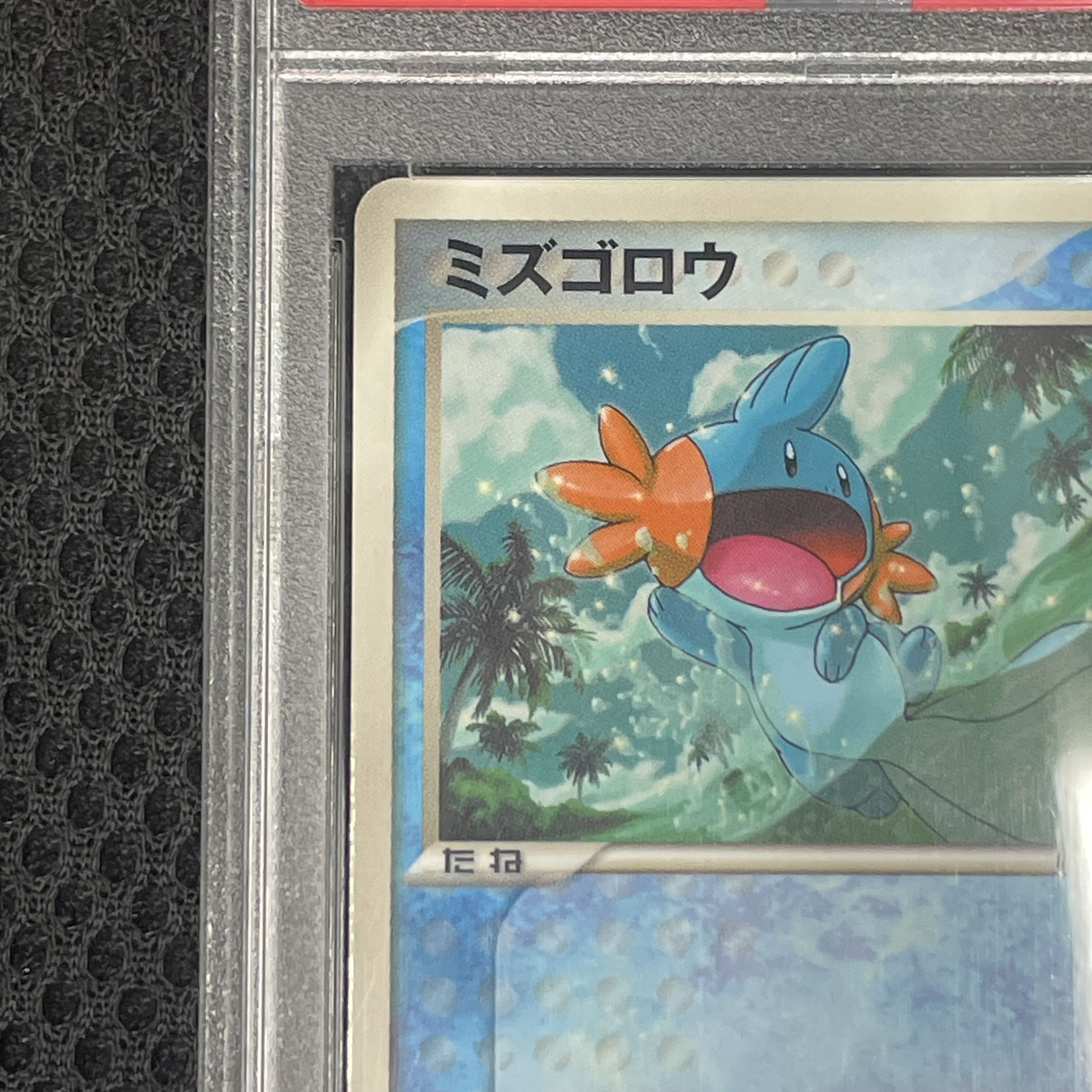 [PSA10] Mudkip (Promo) {083/PCG-P} [PCG] 1枚