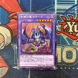 Kangaskhan Secret Rare WPP4-JP049 1枚