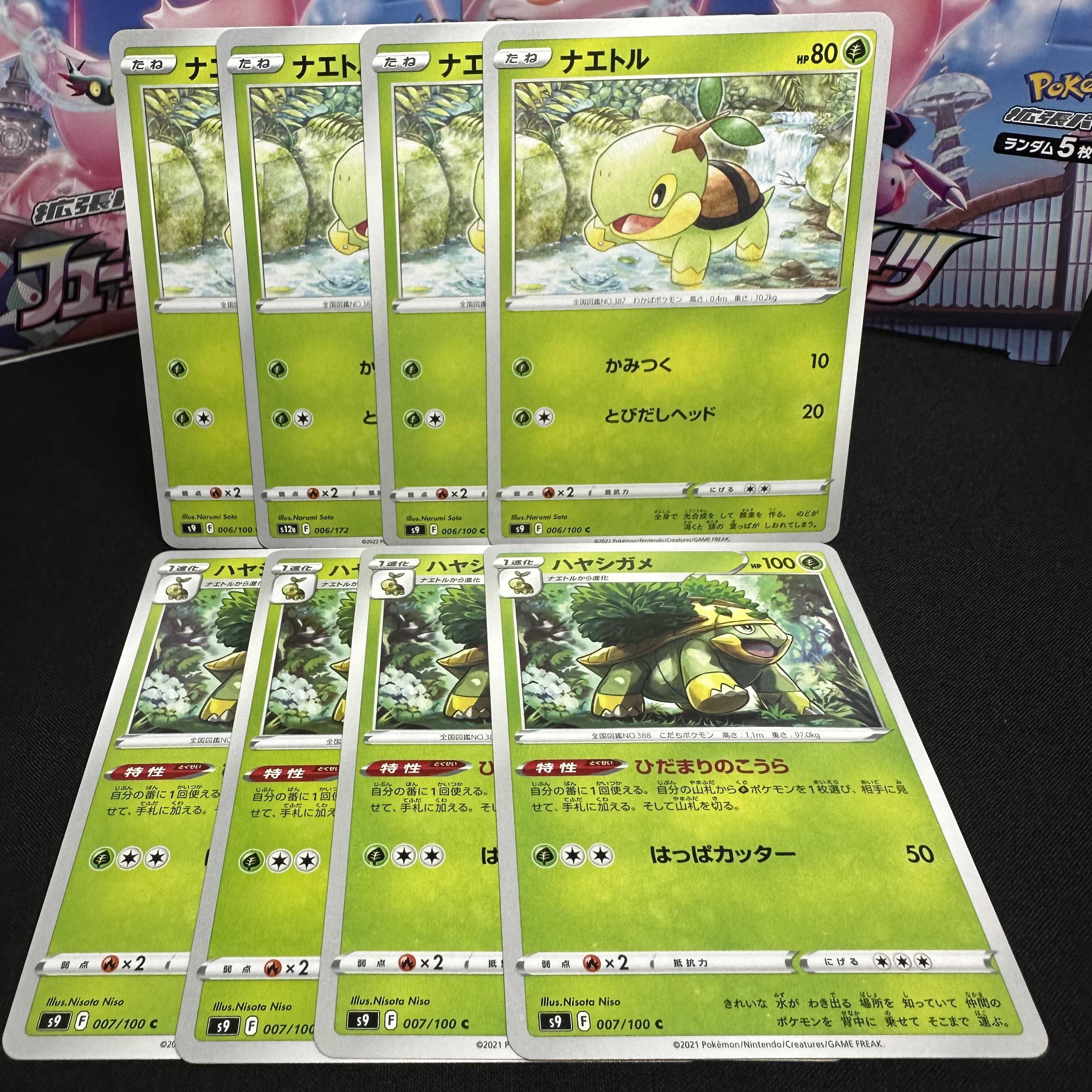 進化セット ハヤシガメ C 007/100