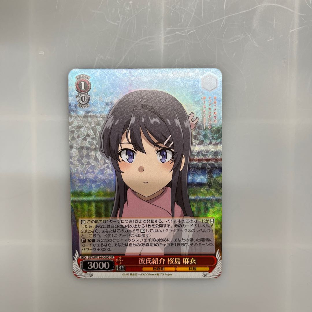 SR Boyfriend Introduction Sakura Island Mai 1枚